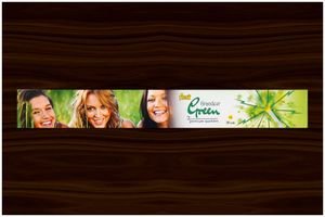 30 cm Grandeur Green E (Export Quality)(5 Pcs)