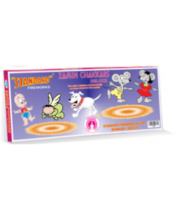 zamin chakkar asoka (10 pcs)